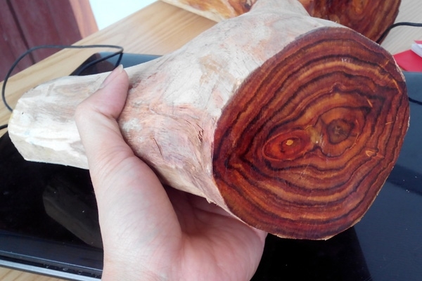 Cách nhận biết gỗ sưa đỏ