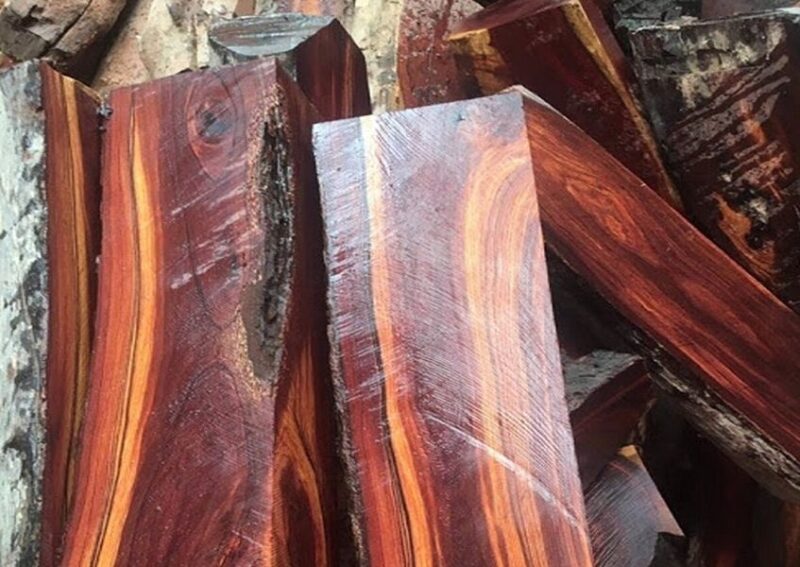 Ngày nay. gỗ cẩm lai được phân loại theo địa hình và khu vực sinh trưởng