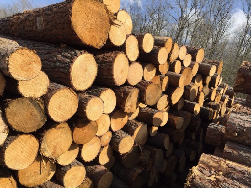 Giá nguyên khối gỗ cao su