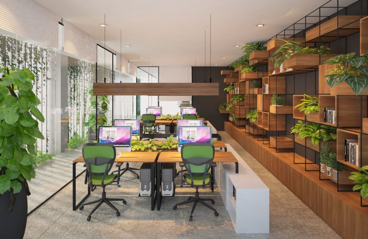 Thiết kế văn phòng nhỏ tận dụng không gian xanh