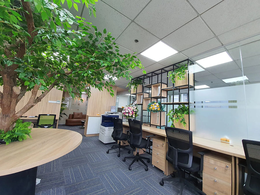 Trang trí văn phòng với cây xanh