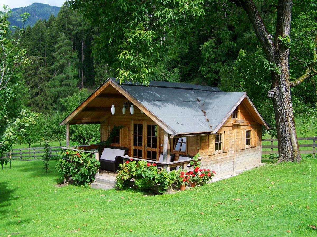 Mẫu nhà gỗ mini với sân vườn trước nhà nhỏ xinh
