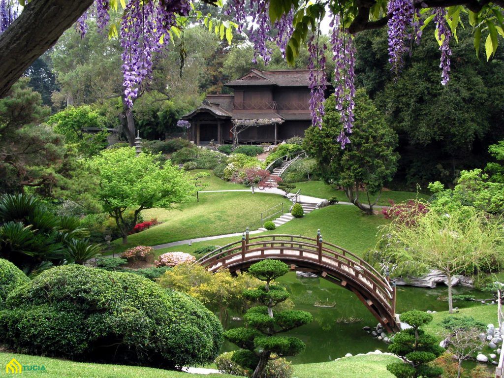 Mẫu thiết kế sân vườn đẹp theo phong cách Nhật Bản