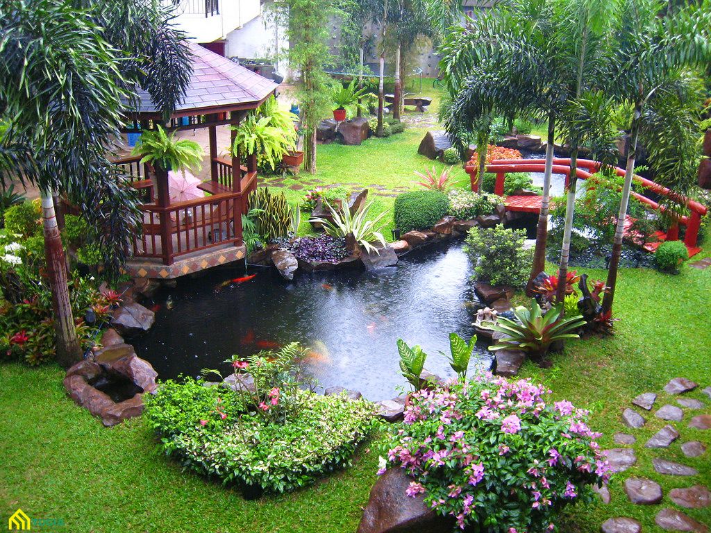 Mẫu sân vườn đẹp theo phong cách Nhật Bản có hồ ca, cây cầu, đá, hoa, gỗ...