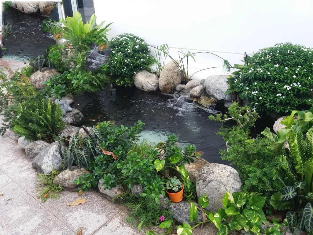 Thiết kế tiểu cảnh sân vườn mini với hồ cá