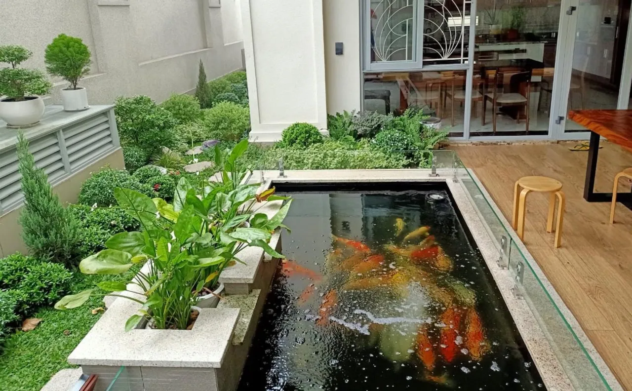 Hồ cá kết hợp tiểu cảnh sân vườn thu nhỏ trong nhà