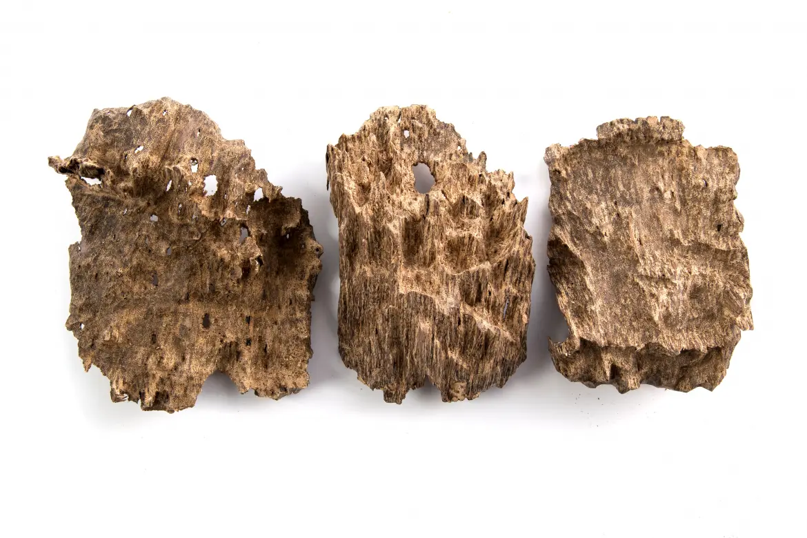 Gỗ Kỳ Nam là một trong những phân loại gỗ trầm hương có giá trị cao