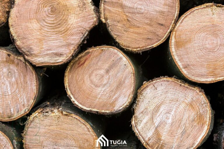 Gỗ phay là gỗ gì? Có tốt không? Giá bao nhiêu 1 khối?