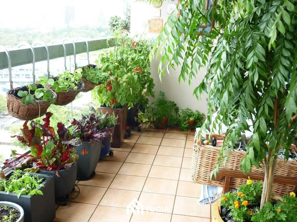 Thiết kế ban công chung cư nhỏ đẹp với nhiều chậu cây rau xanh sẽ cần bạn chăm sóc thường xuyên