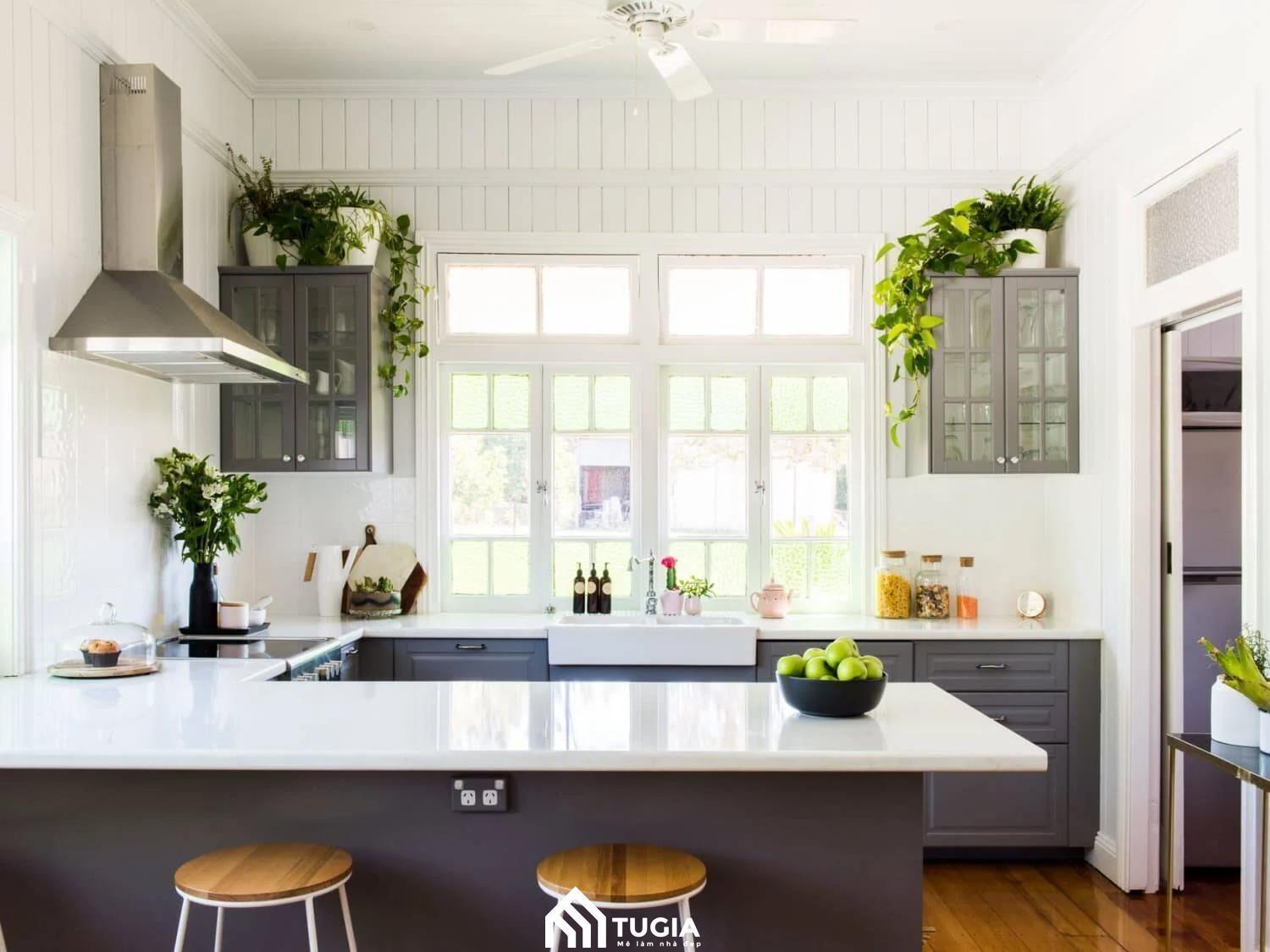 Decor bếp bằng cây xanh giúp tạo sức sống tươi mới cho không gian