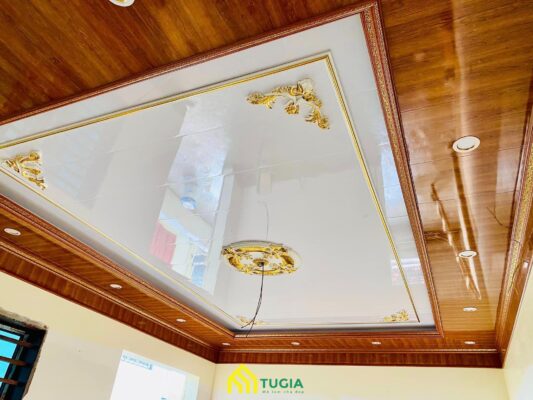 Top 100+ mẫu trần nhựa phòng khách đẹp nhất 2025