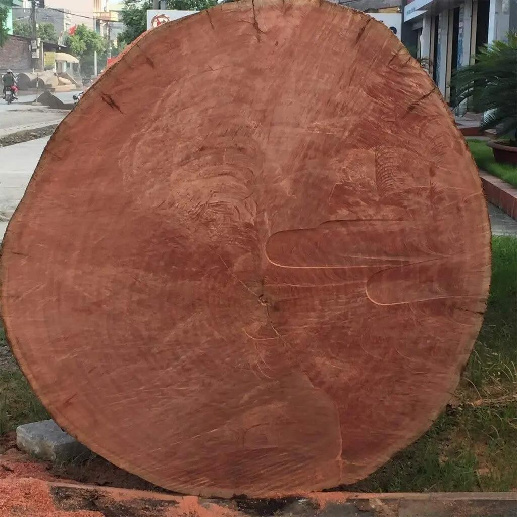Gỗ Đinh Hương có kích thước khá lớn, đường kính rộng