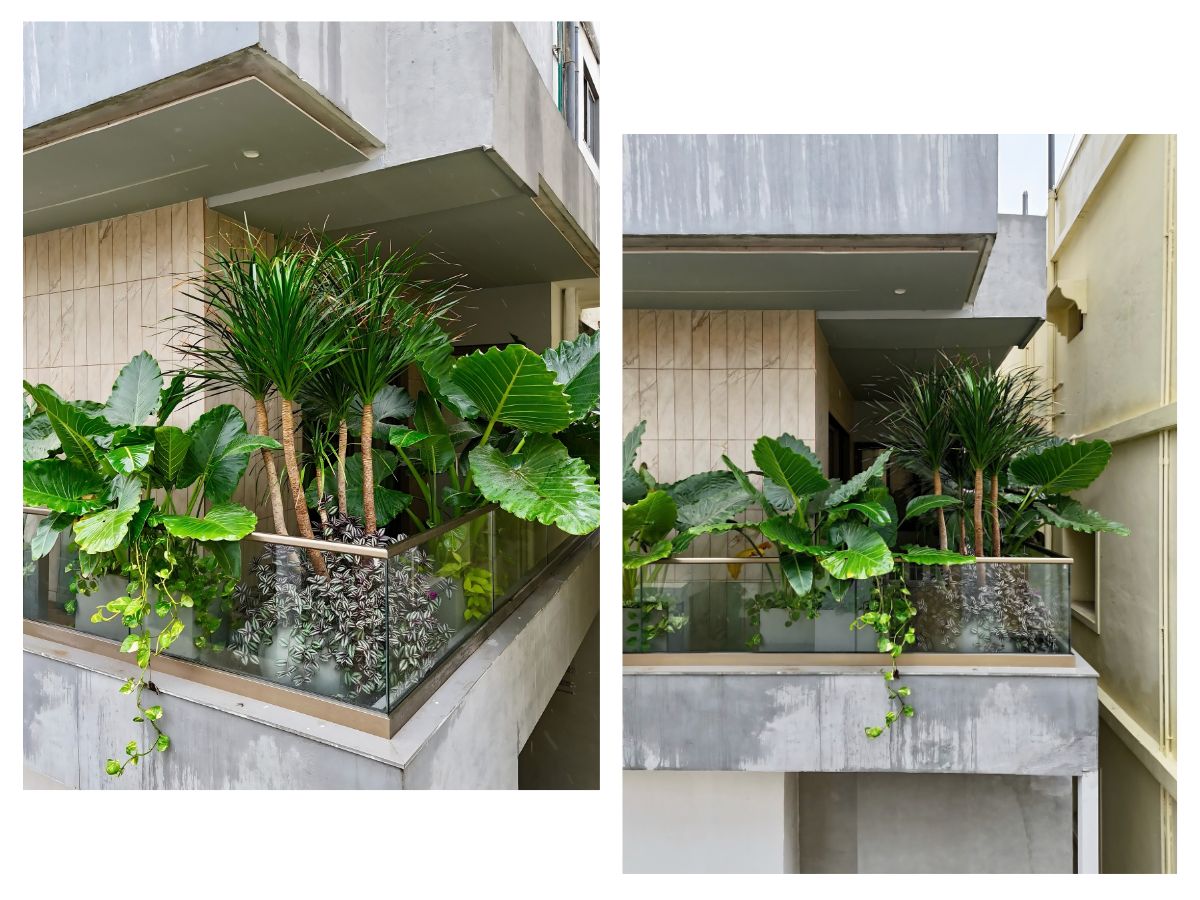Ban công phong cách Tropical phủ đầy cây xanh nhiệt đới như khu vườn thu nhỏ