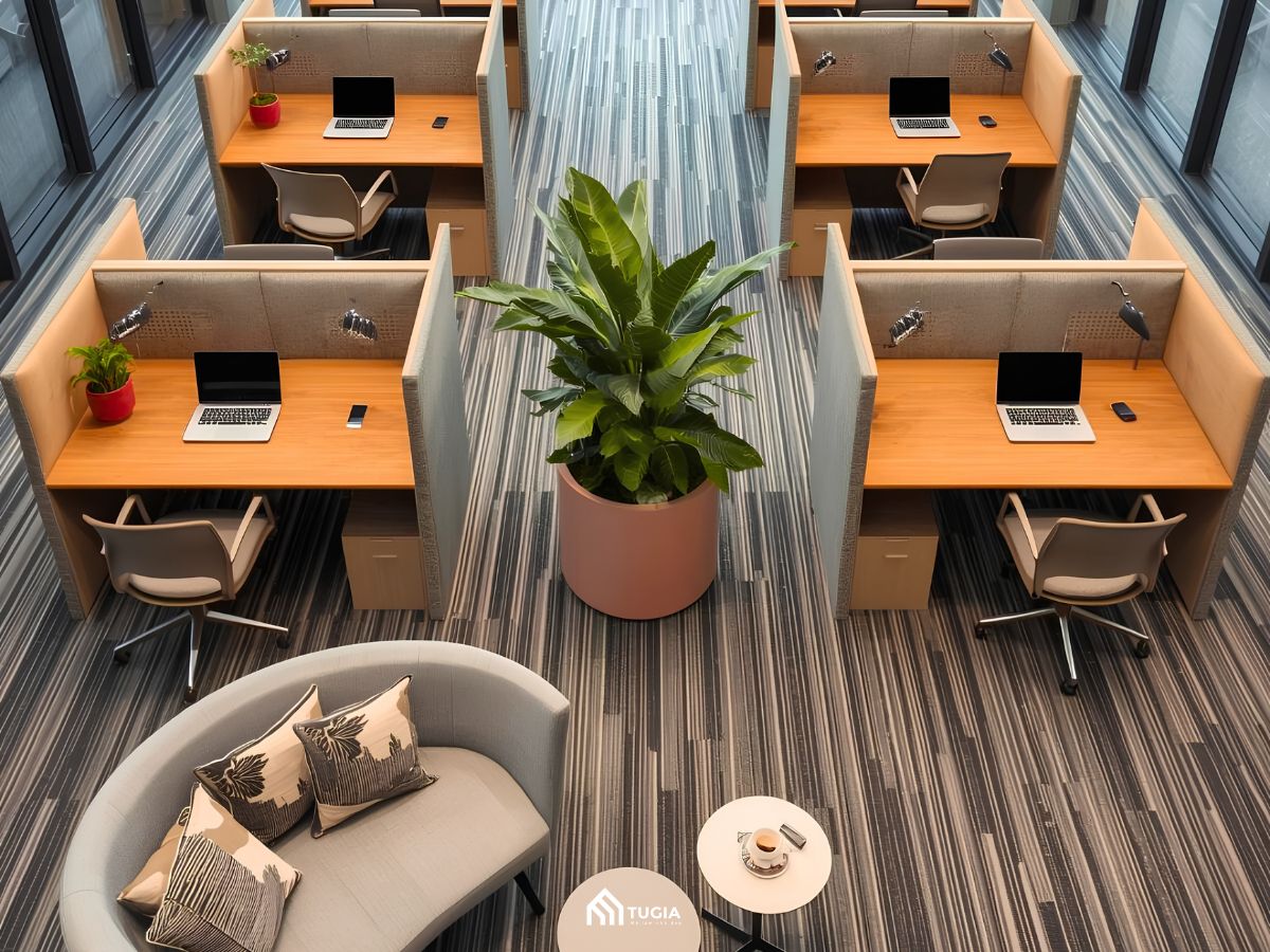 Thiết kế nội thất coworking space