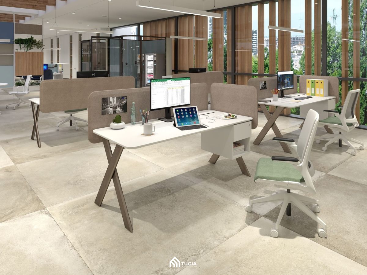 Thiết kế nội thất coworking space