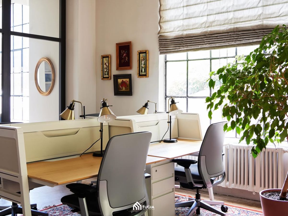 Thiết kế nội thất coworking space