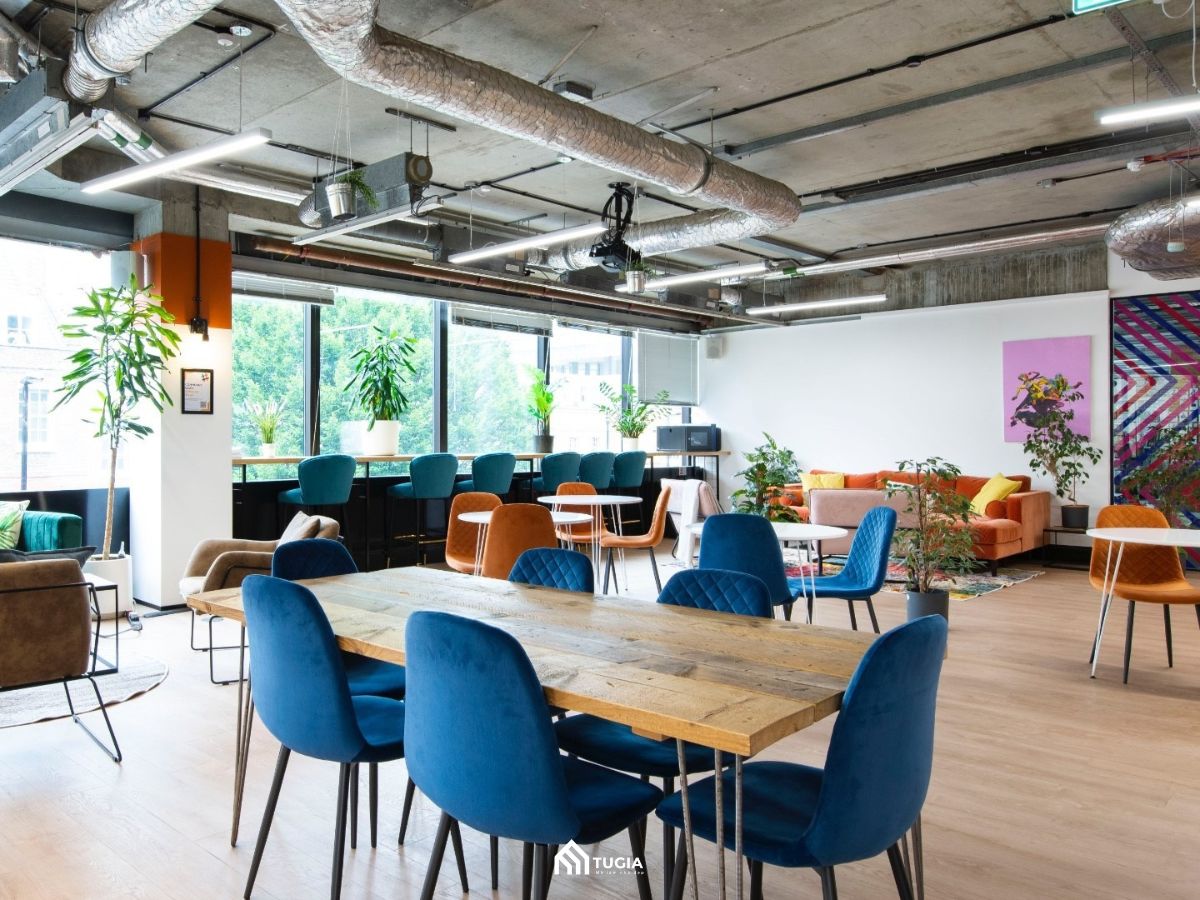 Thiết kế nội thất coworking space