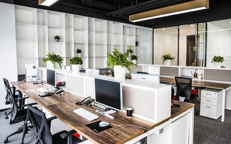 Kết hợp không gian xanh vào nơi làm việc để nhân viên được thư giãn, tỉnh táo