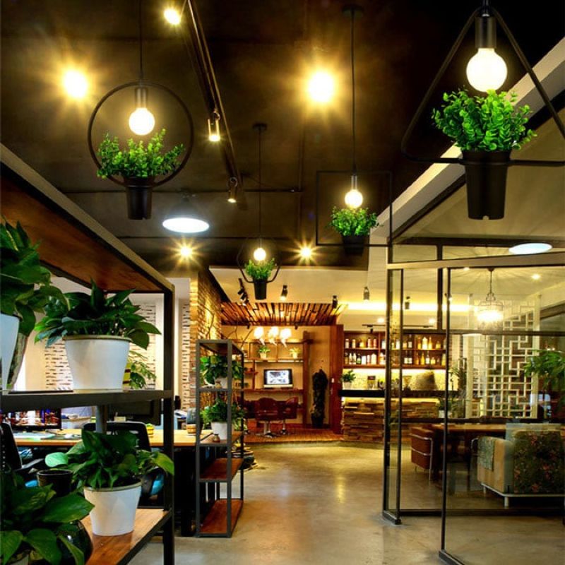 Thiết kế quán cafe tropical